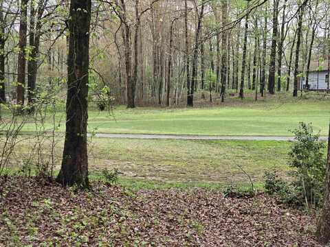 Lot 1585A Diamondhead Drive, Hot Springs, AR 71913