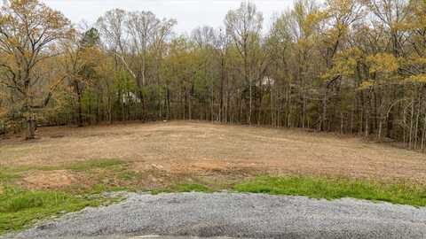 31 Johnny Wheeler Lane, Dunlap, TN 37327
