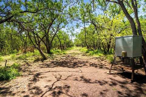 000 Cr 175, Sandia, TX 78383