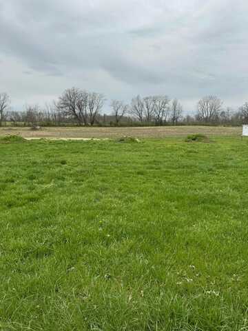 8159 Maple Street, Thurston, OH 43157