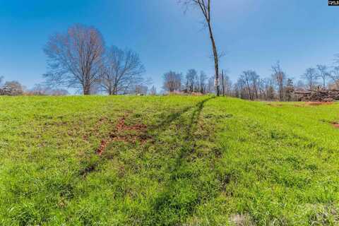 0 Bridge View Court, Newberry, SC 29127