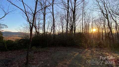 9999 Rocky Falls Drive, Black Mountain, NC 28711