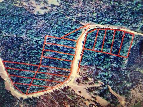 0 Tanglewood Trail, Georgetown, GA 39854