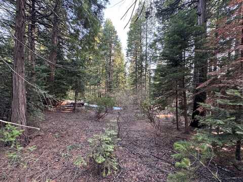 19 Rock Shelf Lane, Shaver Lake, CA 93664