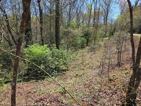 Mashburn Branch Road, Franklin, NC 28734