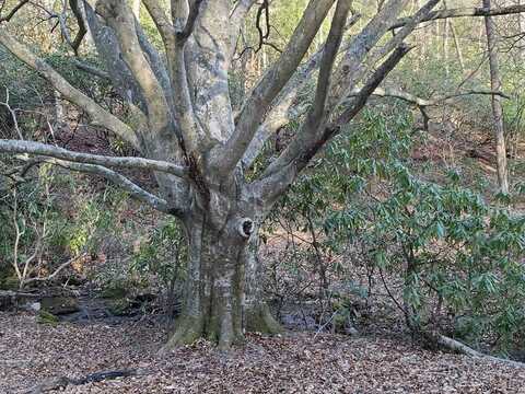 Lot 7 SNOWHILL FALLS CIRCLE, Franklin, NC 28734