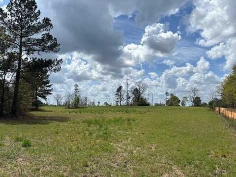 0 BLUME Road, Mitchell, GA 30820