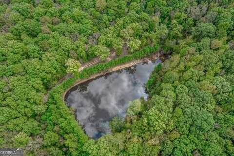 0 Seven Islands, Madison, GA 30650