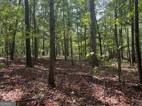 348 A Pat Rich, Canton, GA 30115