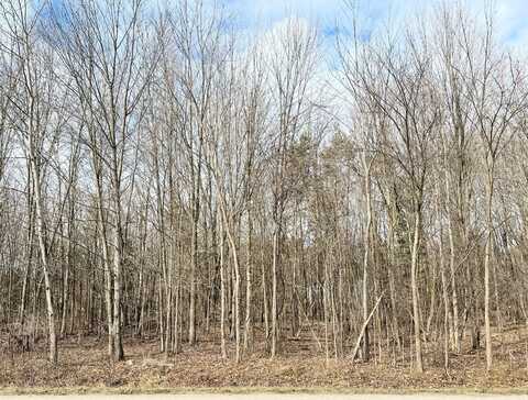 13505 Leonard Street, Nunica, MI 49448