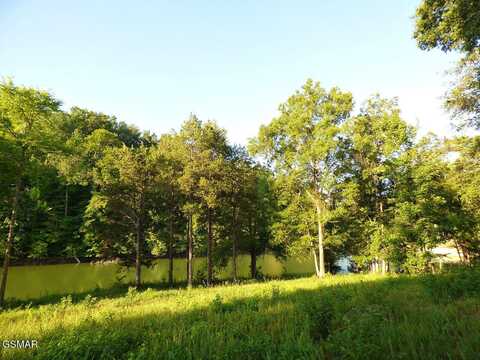 Lot 57 Sunset Harbor Drive, Dandridge, TN 37725