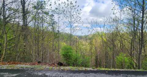 Lot 32 Cupid Way, Sevierville, TN 37876