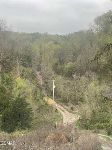 952 Stokes Valley Way, Parrottsville, TN 37843