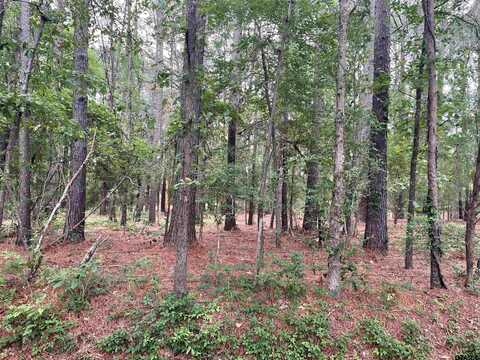 20348 CR 4106  Lot 12, Lindale, TX 75771