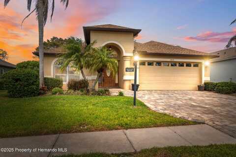 11631 Wayside Willow Court, Hudson, FL 34667