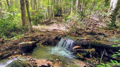 117 Speckled Feather Pass, Sapphire, NC 28774