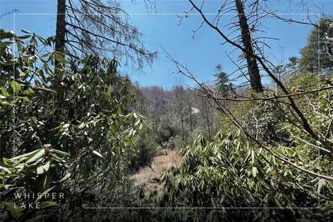 Lt 269 Beaver Court, Sapphire, NC 28774