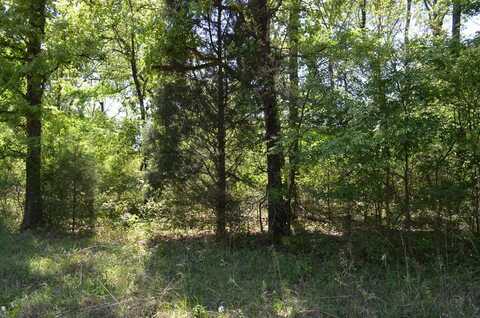 LOT 17 Westwood Dr, Trinidad, TX 75163