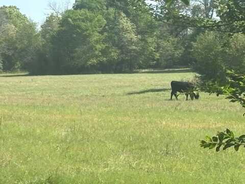 TBD A Patterson Rd, Athens, TX 75151