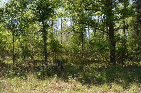 LOT 43 Daniel Boone Ln, Trinidad, TX 75163