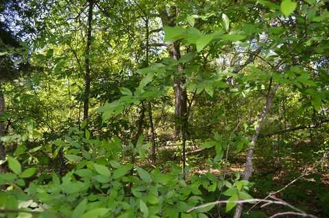 LOT 16 Westwood Dr, Trinidad, TX 75163