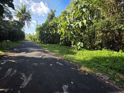 PALANI ST, PAHOA, HI 96778