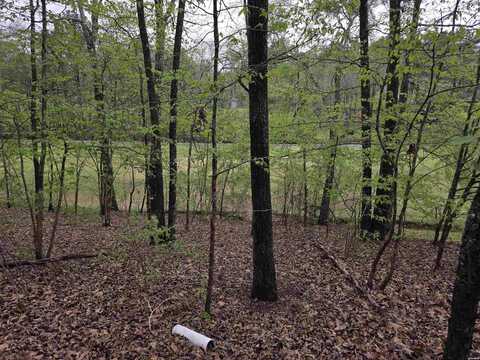 Lot 1585A DIAMONDHEAD Drive, Hot Springs, AR 71913