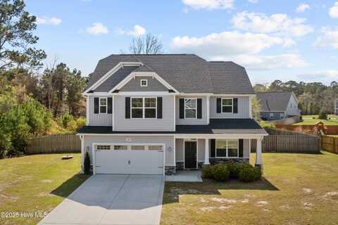202 Laridae Court, Sneads Ferry, NC 28460