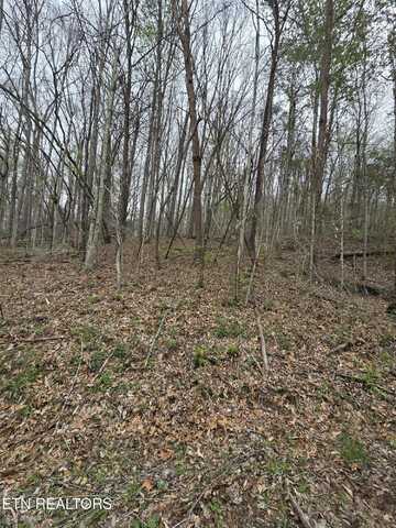 Lots 8 & 9 Rainbow Lane, La Follette, TN 37766