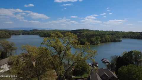 353 Southshore Drive, Greenback, TN 37742