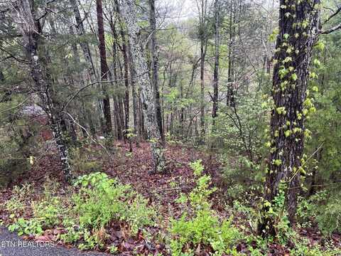 Lot 1 Mountain View Drive, Pigeon Forge, TN 37863