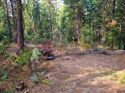 Yak Lane, Bonanza, OR 97623