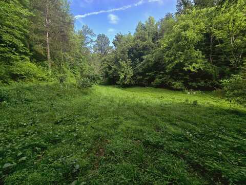 455 Highway 25E, Newport, TN 37821