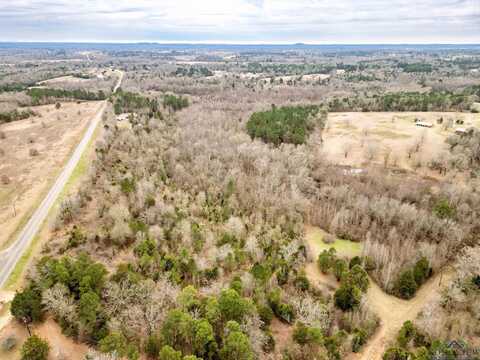 Tbd FM 2454 10 acres, Gilmer, TX 75644