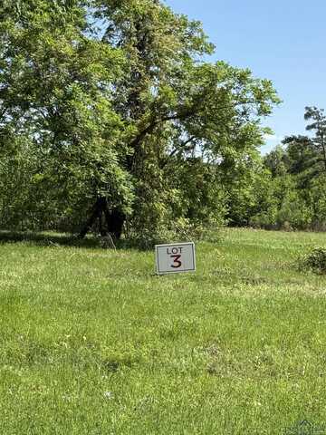 Tbd Lot 3 S FM 839, Henderson, TX 75652