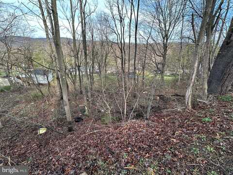 519 GEORGES CREEK BLVD, LAVALE, MD 21502