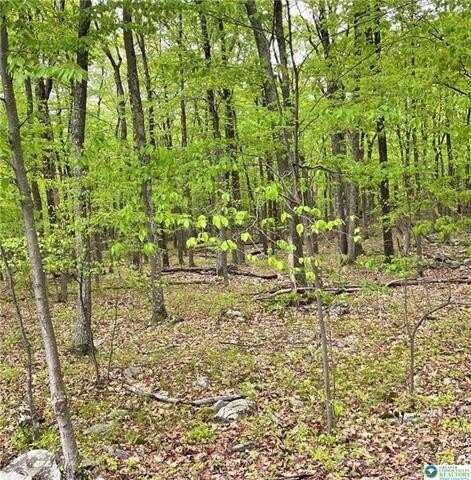 209 Cherry Lane, Tunkhannock, PA 18210