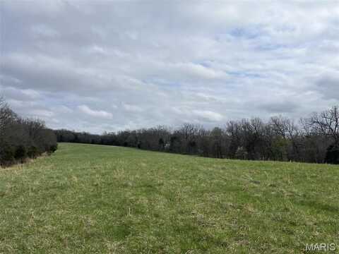 0 31.26+/- Ac Tract #3 Horstman Road, New Haven, MO 63068