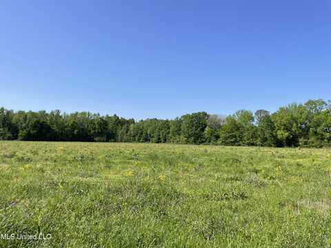0002 Renfroe Rd, Canton, MS 39046