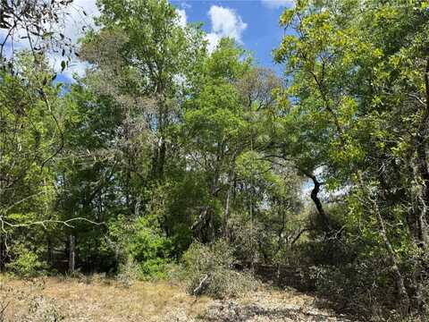 Tbd SW BIG BEAR RIDGE, DUNNELLON, FL 34431