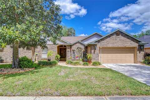 3817 COLD CREEK DRIVE, VALRICO, FL 33596