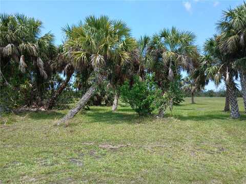 16091 CHITLAN COURT, PUNTA GORDA, FL 33955