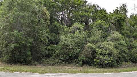 00 SE 23RD LANE, TRENTON, FL 32693