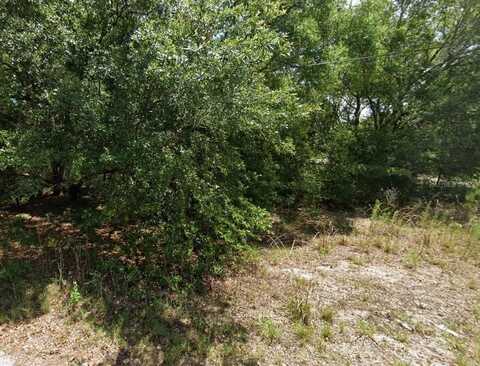 NW 52ND AVE, OCALA, FL 34482