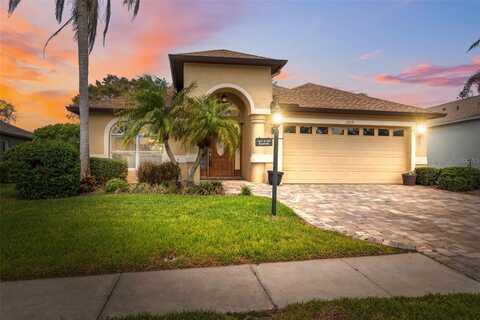 11631 WAYSIDE WILLOW COURT, HUDSON, FL 34667