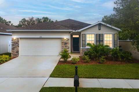 11892 FROST ASTER DRIVE, RIVERVIEW, FL 33579