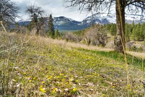 204 Camas Orchard Trail, Hamilton, MT 59840