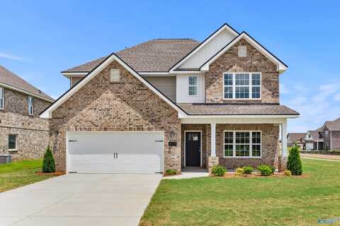 217 Irish Hill Drive, Meridianville, AL 35759