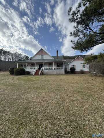 8215 Owls Hollow Road, Gadsden, AL 35901