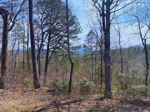 Lot 28 Wildflower Ridge, Brasstown, NC 28909